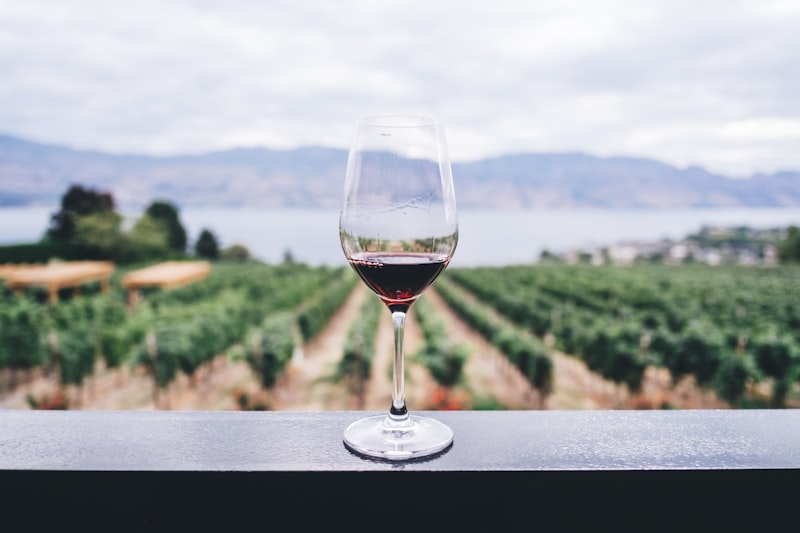 Top Cheeses to Enjoy with Wine