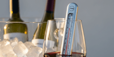 Should You Chill Malbec Serving Temperature for Every Red Wine