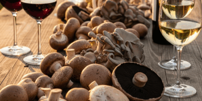 What Wine Pairs With Mushrooms by Dish Type